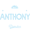anthony tshirt personnalisé prénom