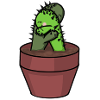 Cactus mignons