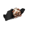 Cochon d'Inde surprise Wheek Wheek