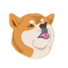 Chubby shiba inu