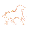 Pferd Pferde