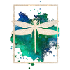 libellule