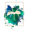 Ant
