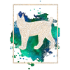 lynx