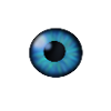 eye