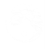 Bonsai Tree