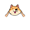 Doge Shiba Inu