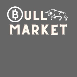 Bitcoin Bull Market BTC Krypto Crypto Trading HODL