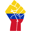 Venezuela Fist Flag