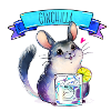 Gin + chinchilla = ginchilla