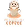 Eule Kaffee