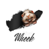 Cochon d'Inde surprise Wheek Wheek