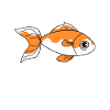 Poisson poisson rouge