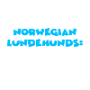 Norwegian Lundehund
