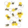Bees on honeycomb