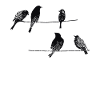 J'aime les oiseaux