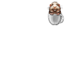 Cobaye dans la tasse