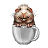 Cobaye dans la tasse