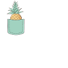 pocket pineapple