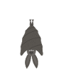 Bedgirl bat nightgown pajamas pajamas