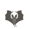 Bedgirl bat nightgown pajamas pajamas