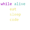 Eat Sleep Code Repeat