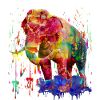 Bunter Elephant, Elefant