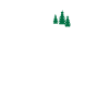 Schwarzwald Wandern Wald Geschenkidee