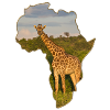 Giraffe in Kenya