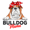 English bulldog