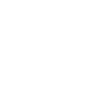 Drohne Evolution Drohnenpilot