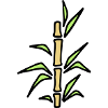 Bamboo bamboo bamboo cane
