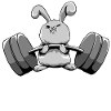 Rolig kanin tyngdlyftning Gym Workout Bunny