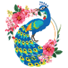 Peacock Bird Animal Flowers Flowers Flower Wreath