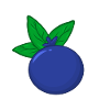 Blueberry