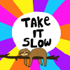 Take It Slow Sloth
