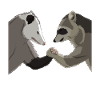 Opossum Waschbär Armdrücken