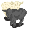 chèvres