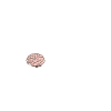 Hé, tu as laissé tomber ça