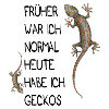 Geckos gift saying reptile lizard