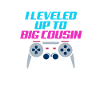 Pregnancy Big Cousin Gamer Gift