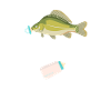 Pêche enceinte Enceintes