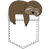 Sloth in breast pocket