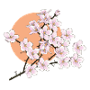 Fleurs de cerisier, soleil, printemps