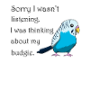 Funny saying budgie pet parakeet