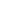 Labradoodle