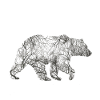 Bear from trees!