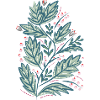 Spring Floral