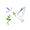 Tauben Flüsterer