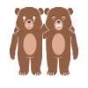 Bears